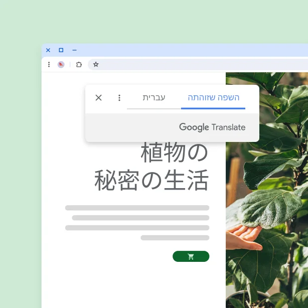 אתר אינטרנט עם צמחים וטקסט מתורגם שאומר 'החיים הסודיים של הצמחים'